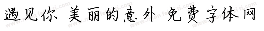 遇见你 美丽的意外字体转换